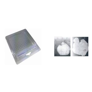 Tissue Transfer & X-Ray Systems